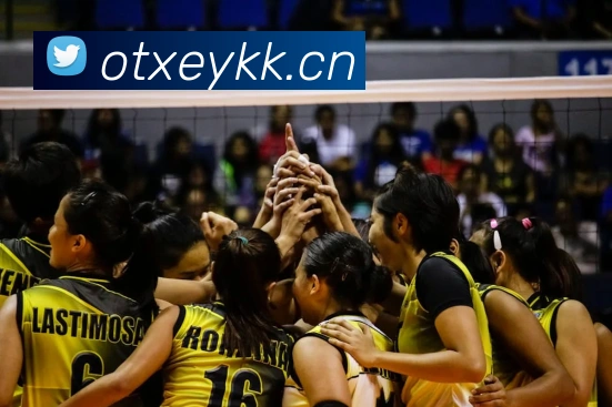 hth.com网页版APP 封面图